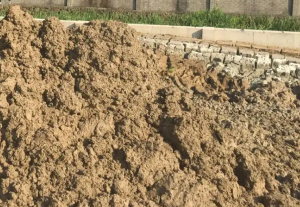 市政污泥资源化利用