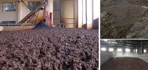 污泥无害化、资源化利用处置方法