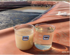 高矿化度压裂返排液处理剂的研究应用